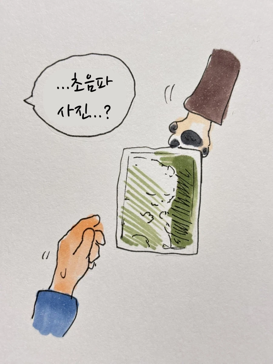 임산부 배 만지는 만화_11.webp