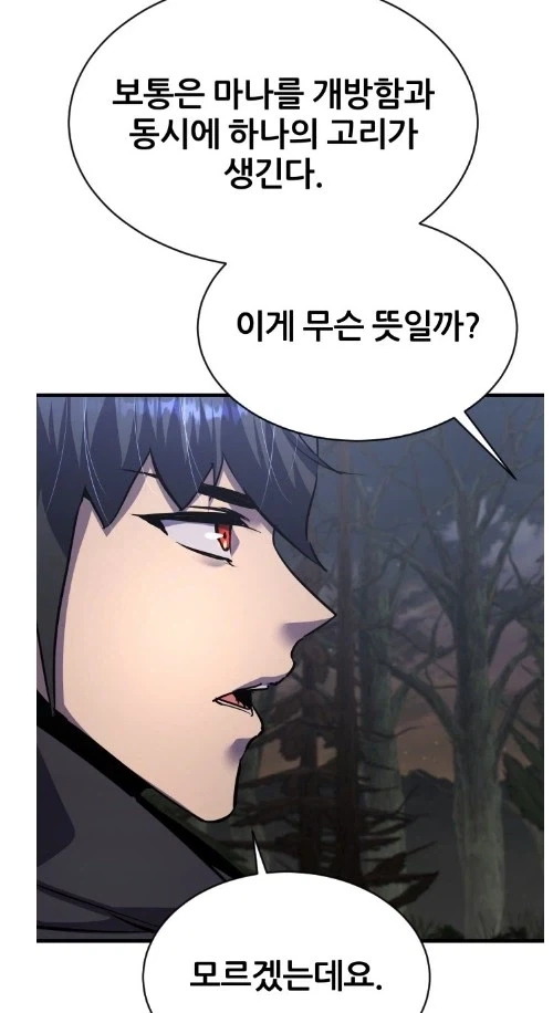 마나를 다루는 자에겐 고리가 있다_4.webp