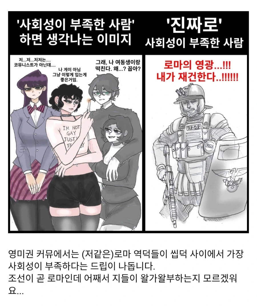 영미권에서 사회성떨어진다고 평가받는 역덕류.comic_1.webp