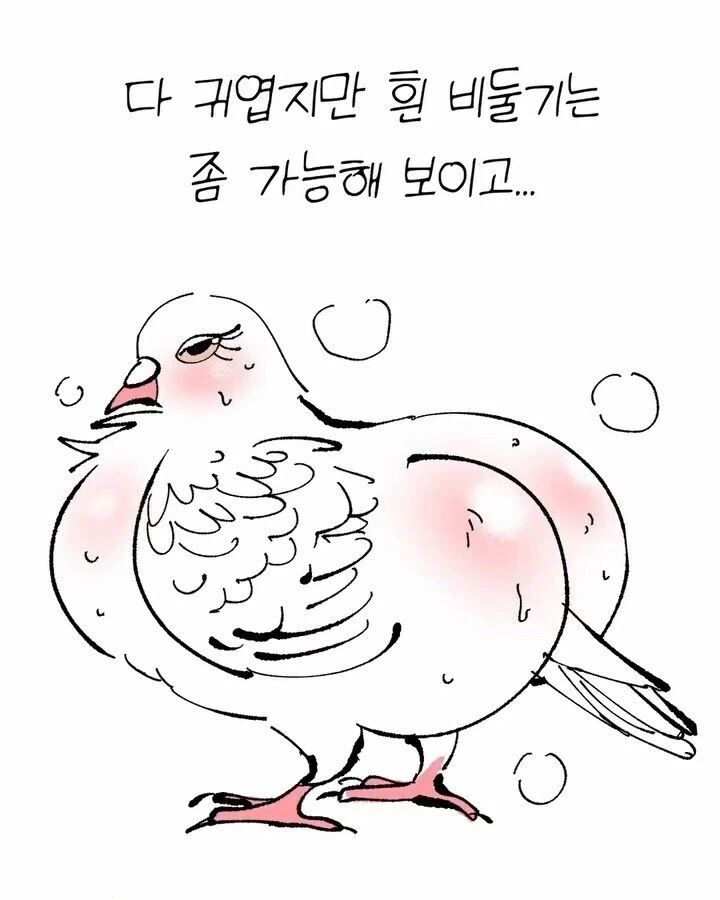 비둘기가 귀여운.manhwa_6.webp