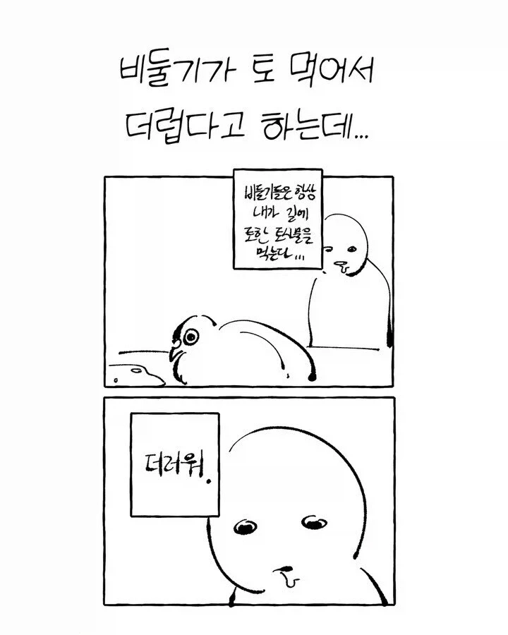 비둘기가 귀여운.manhwa_8.webp