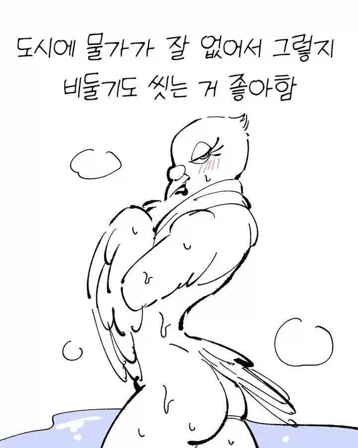 비둘기가 귀여운.manhwa_10.webp