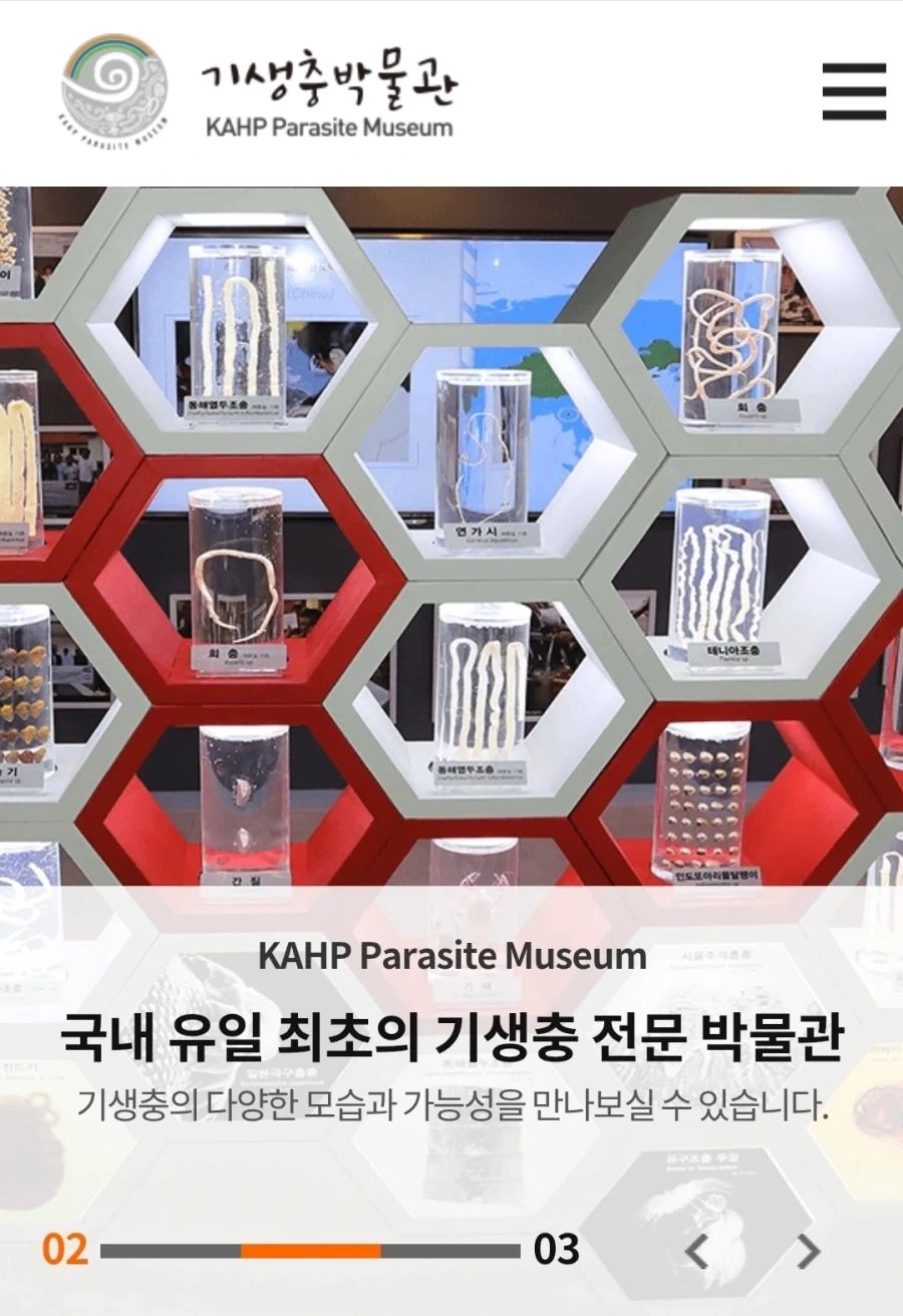 생구멍)일본에 있는 희안한 박물관_2.webp