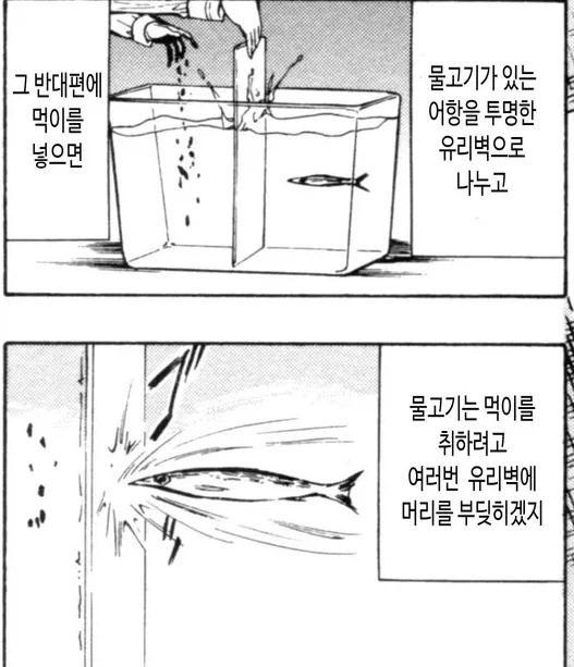 만화에서 묘사하는 유리벽 증후군.jpg_1.webp