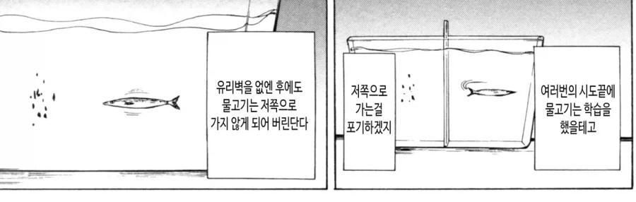 만화에서 묘사하는 유리벽 증후군.jpg_2.webp