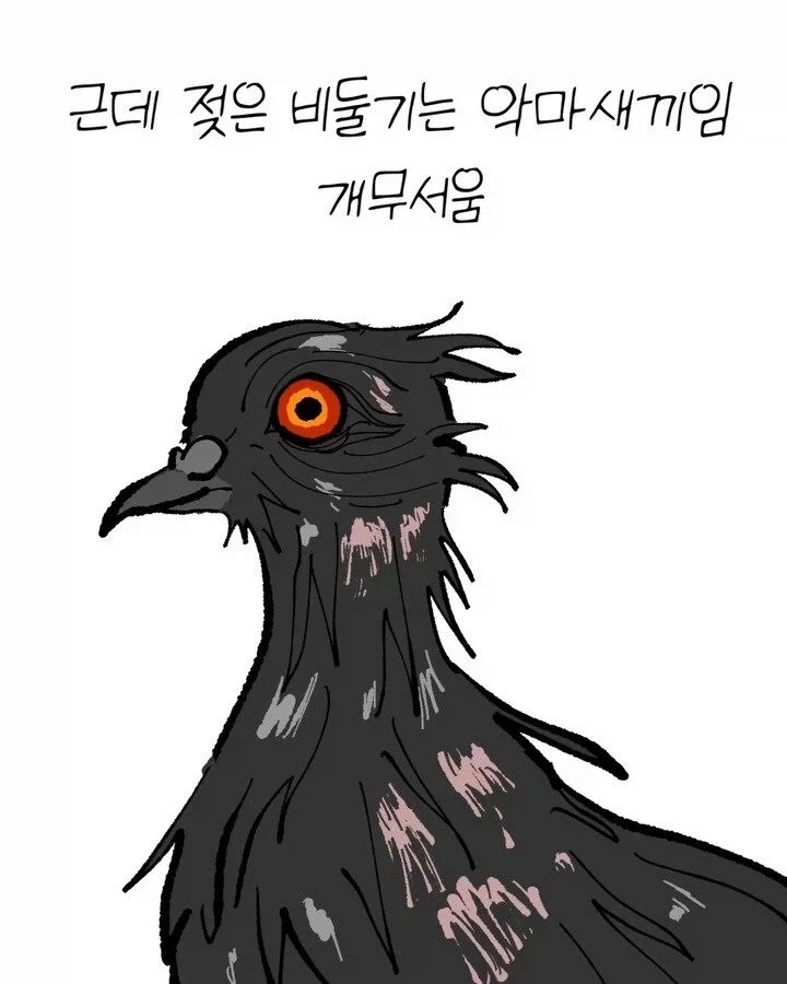 비둘기가 너무 귀여운 만화_11.webp