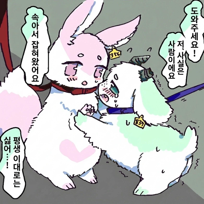 약피폐) 인권이 없어진.manhwa_4.webp