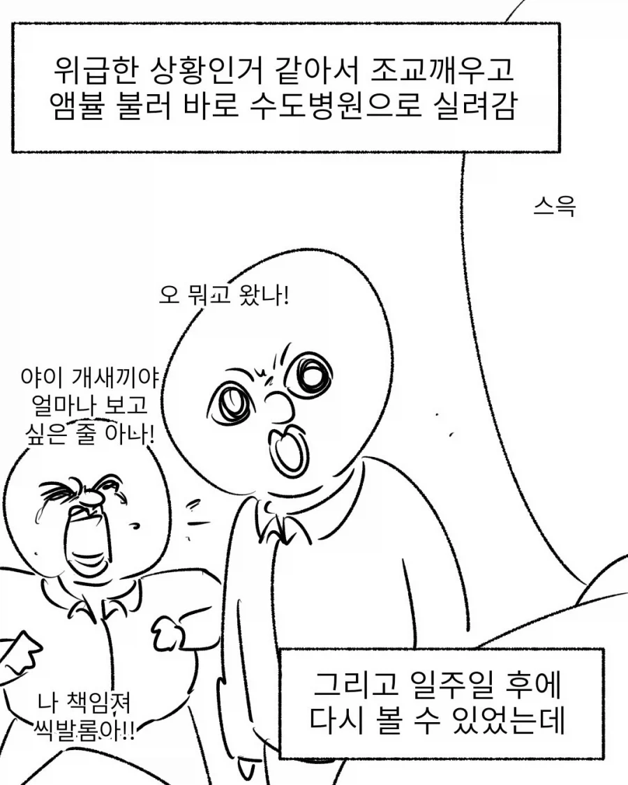 한겨울 숙영훈련 중 얼어죽은 시체가 된 동기.manwha_10.webp