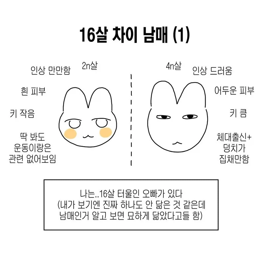 16살 차이 남매 만화.JPG_1.webp