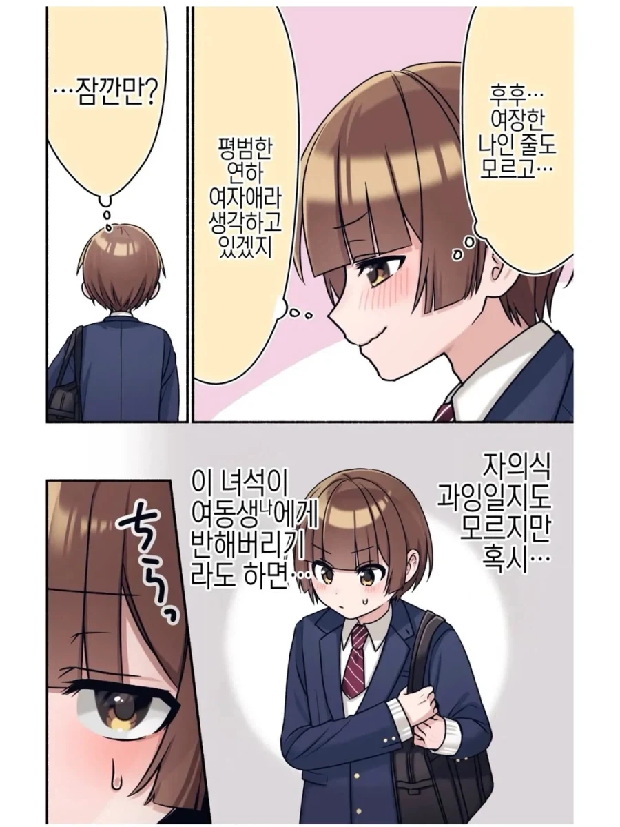 여동생에 대해 알려주는 만화_2.webp