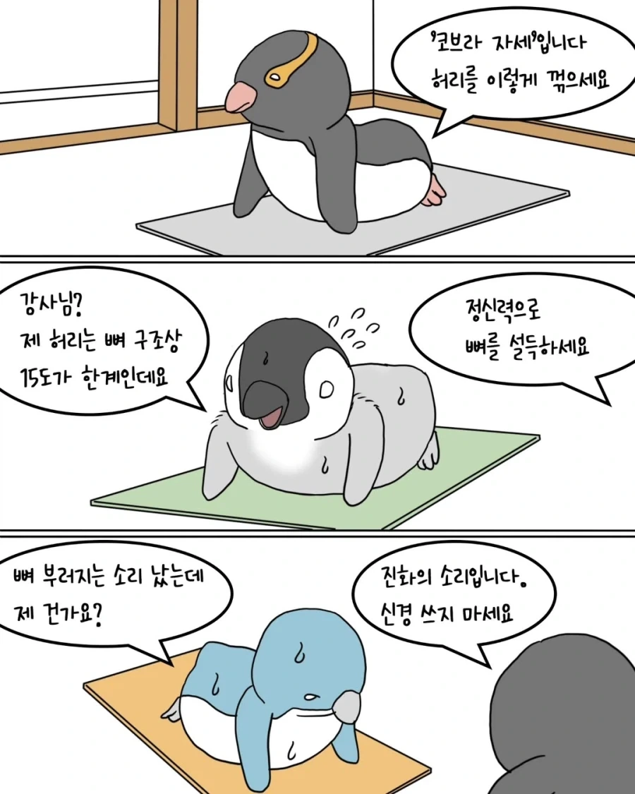 펭귄 요가원.manwha_5.webp