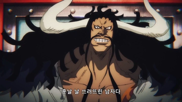 원피스) 현실과 타협한 카이도_53.webp