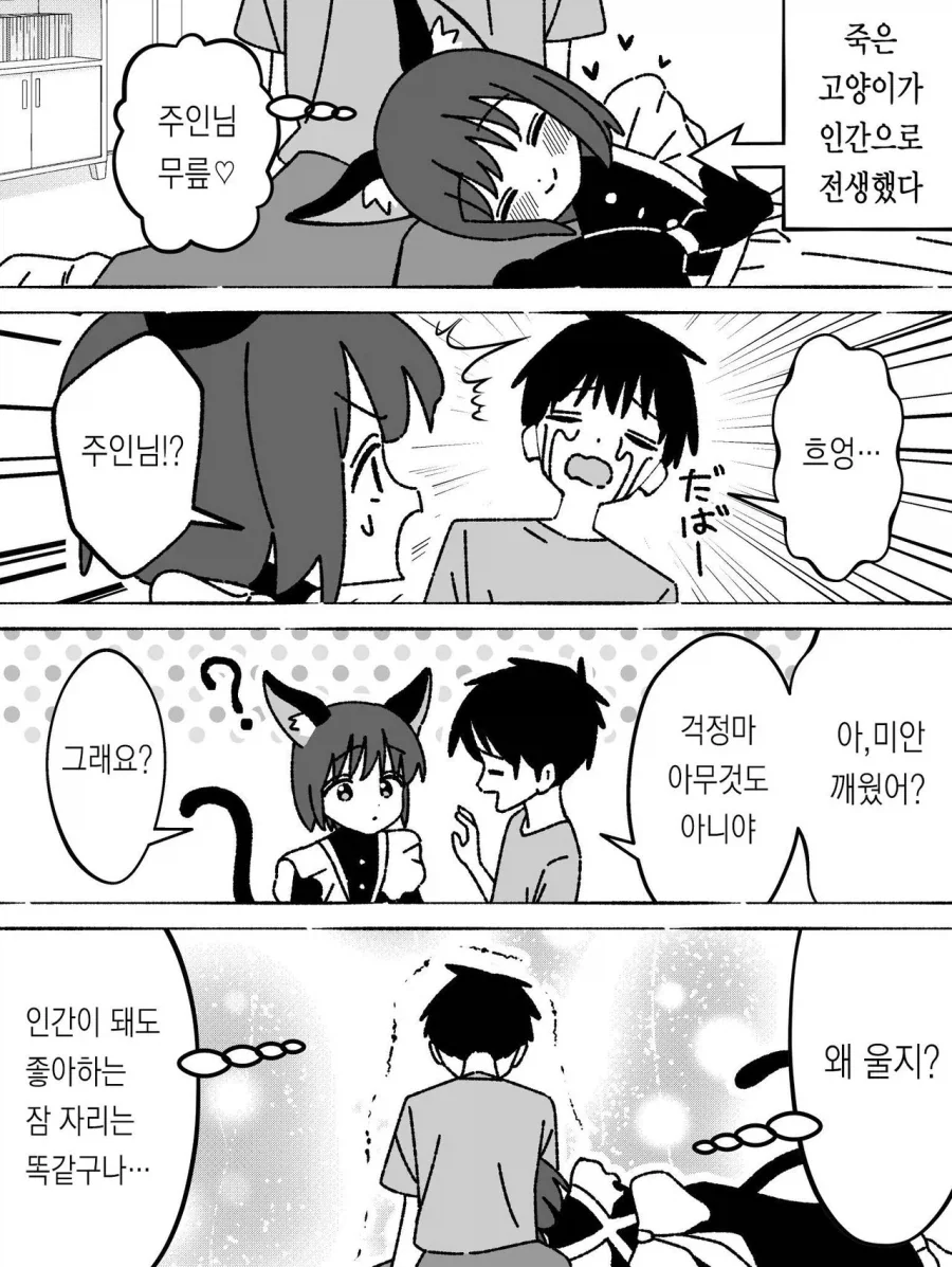 죽은 애완 고양이가 인간으로 전생했다.manhwa_3.webp