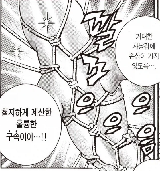 백상아리 귀갑묶기_2.webp