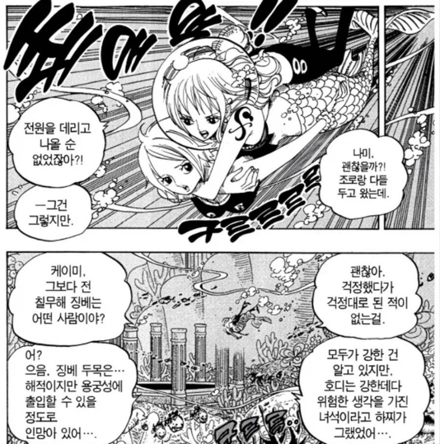 원피스) 무모함에 완전히 적응해버린 항해사_4.webp