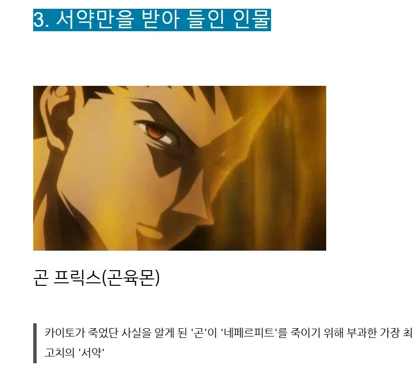 애니) 헌터x헌터 곤육몬 하이리턴 하이리스크_1.webp