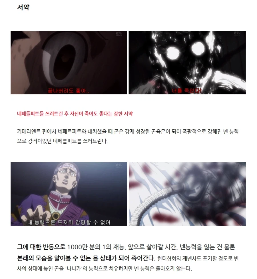 애니) 헌터x헌터 곤육몬 하이리턴 하이리스크_2.webp