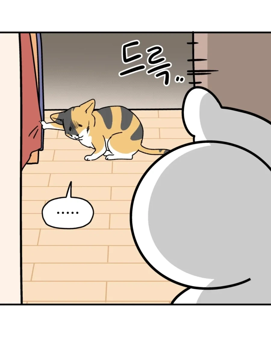 야옹을 하도록 하렴.manwha_4.webp