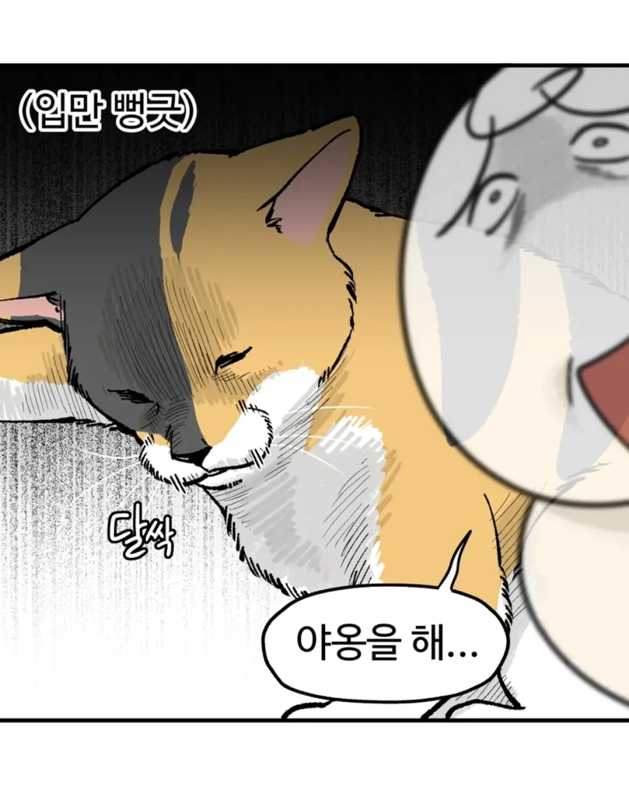야옹을 하도록 하렴.manwha_5.webp