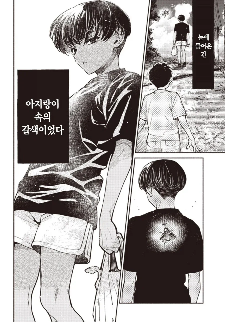 아지랑이 속의 갈색.manhwa_2.webp