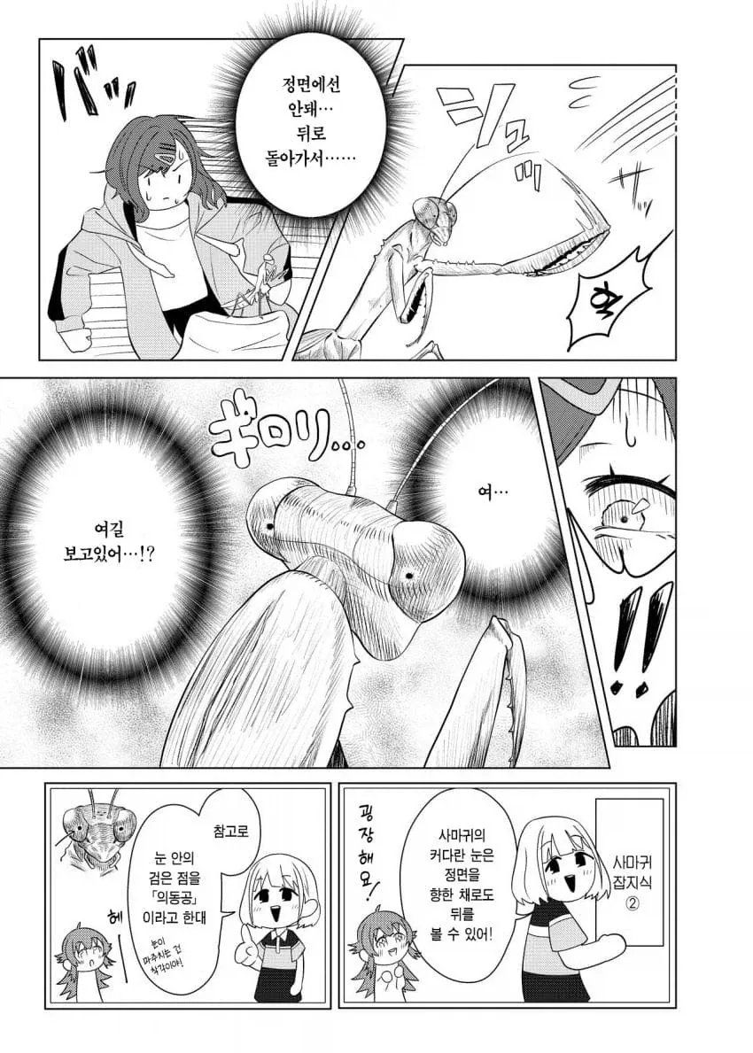 @) 히구치 마도카 vs 사마귀.manga_7.webp