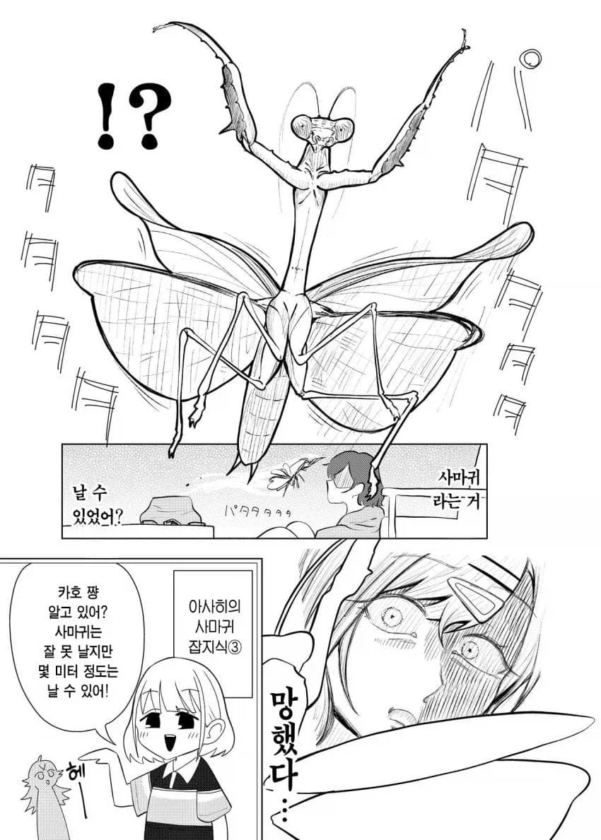 @) 히구치 마도카 vs 사마귀.manga_15.webp