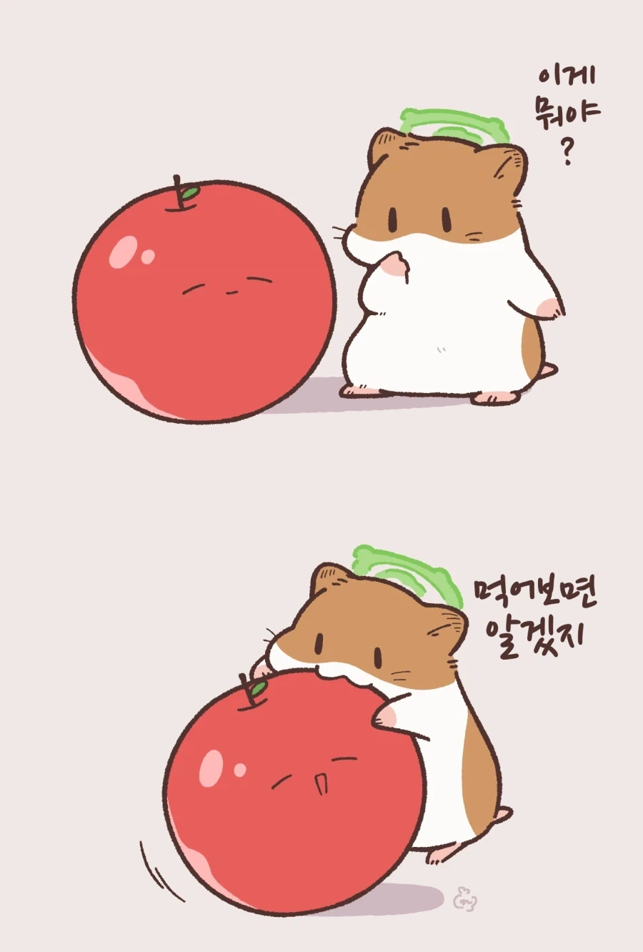 번역)어느 토끼와 천사의 고리.manhwa_3.webp