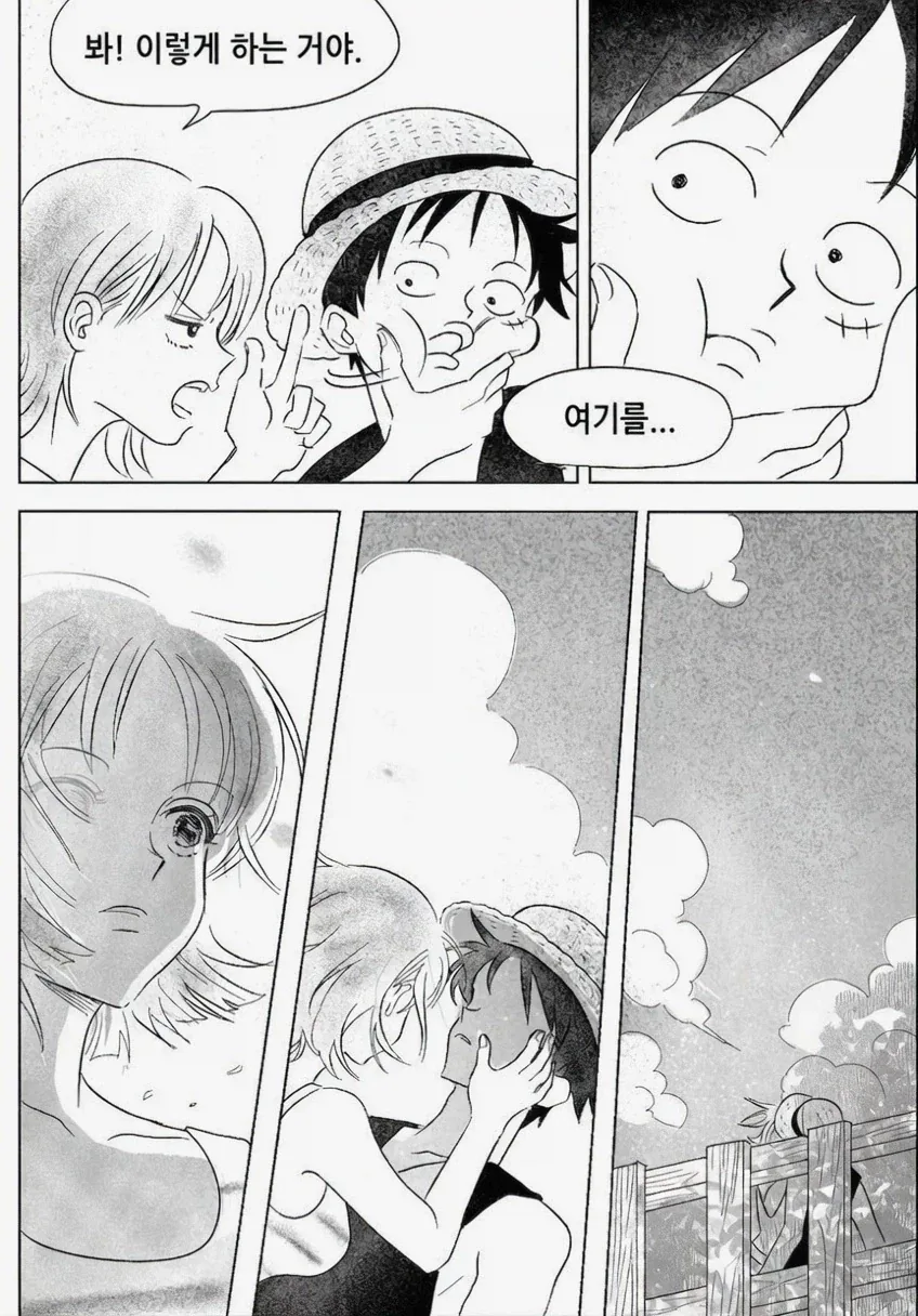 원피스 팬만화)