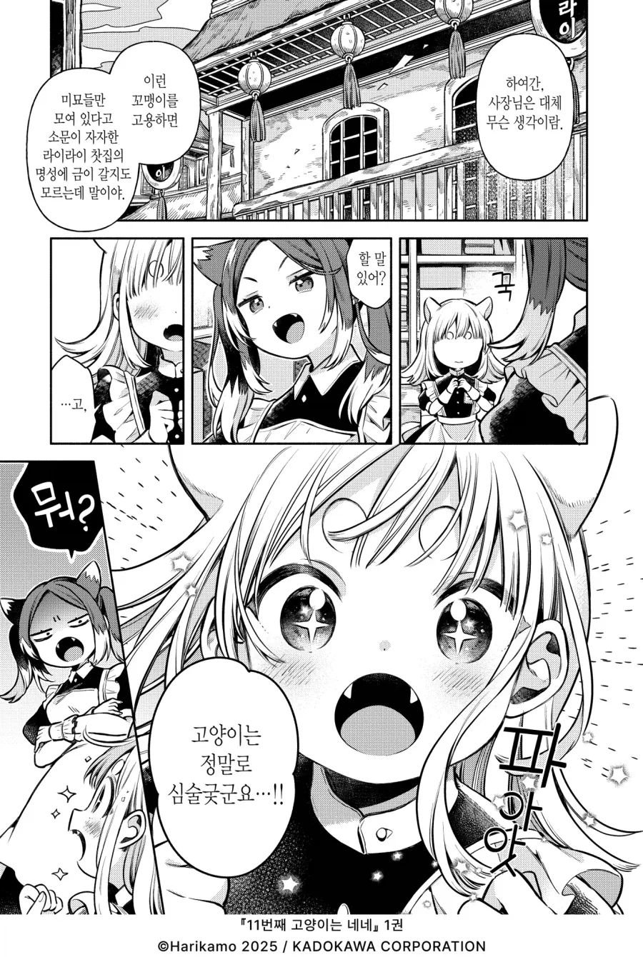 고양이를 동경하게 된 쥐순이.manhwa_3.webp