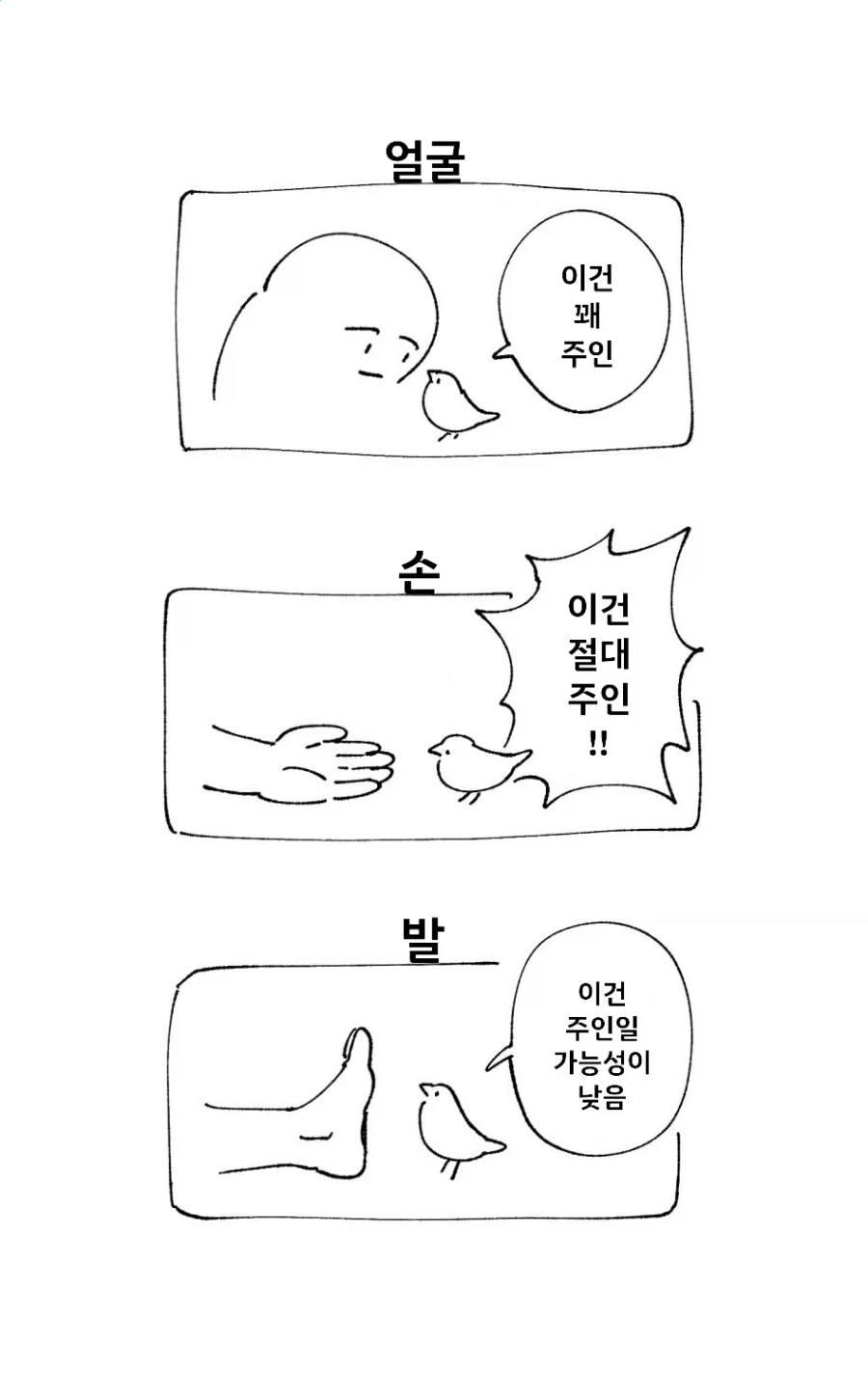 주인이 너무 거대한 새 . 만화_2.webp