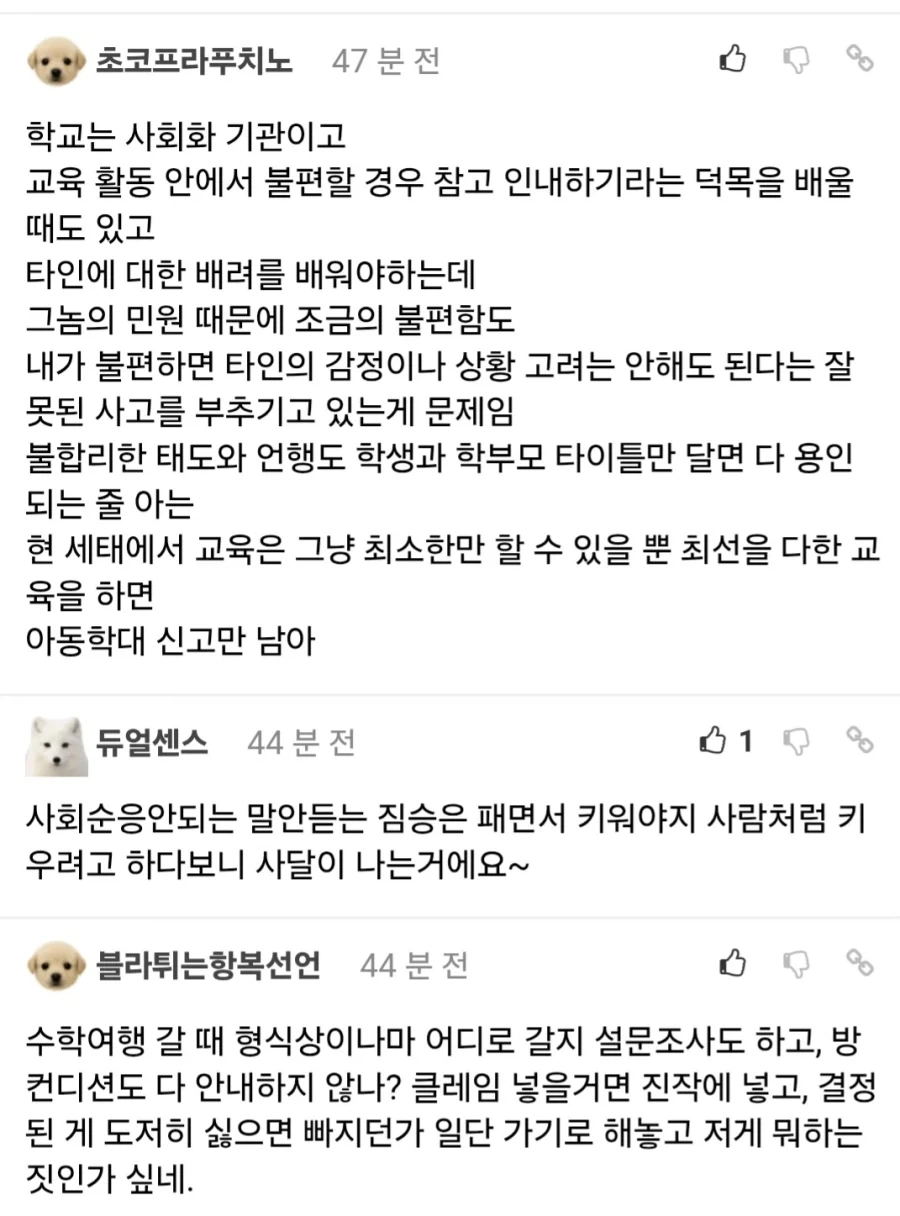 수학여행 안 가는 이유 만화.jpg_3.webp
