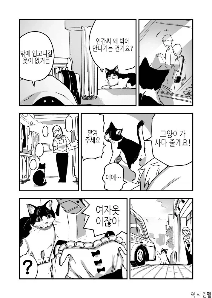 고양이가 집사 옷 사오는 만화_1.webp