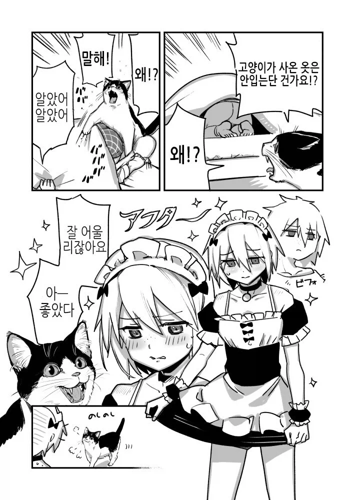 고양이가 집사 옷 사오는 만화_2.webp