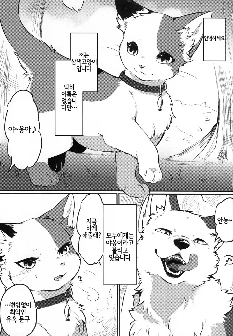 포켓몬)가디안 인형 잘 팔렸나 이미지 2