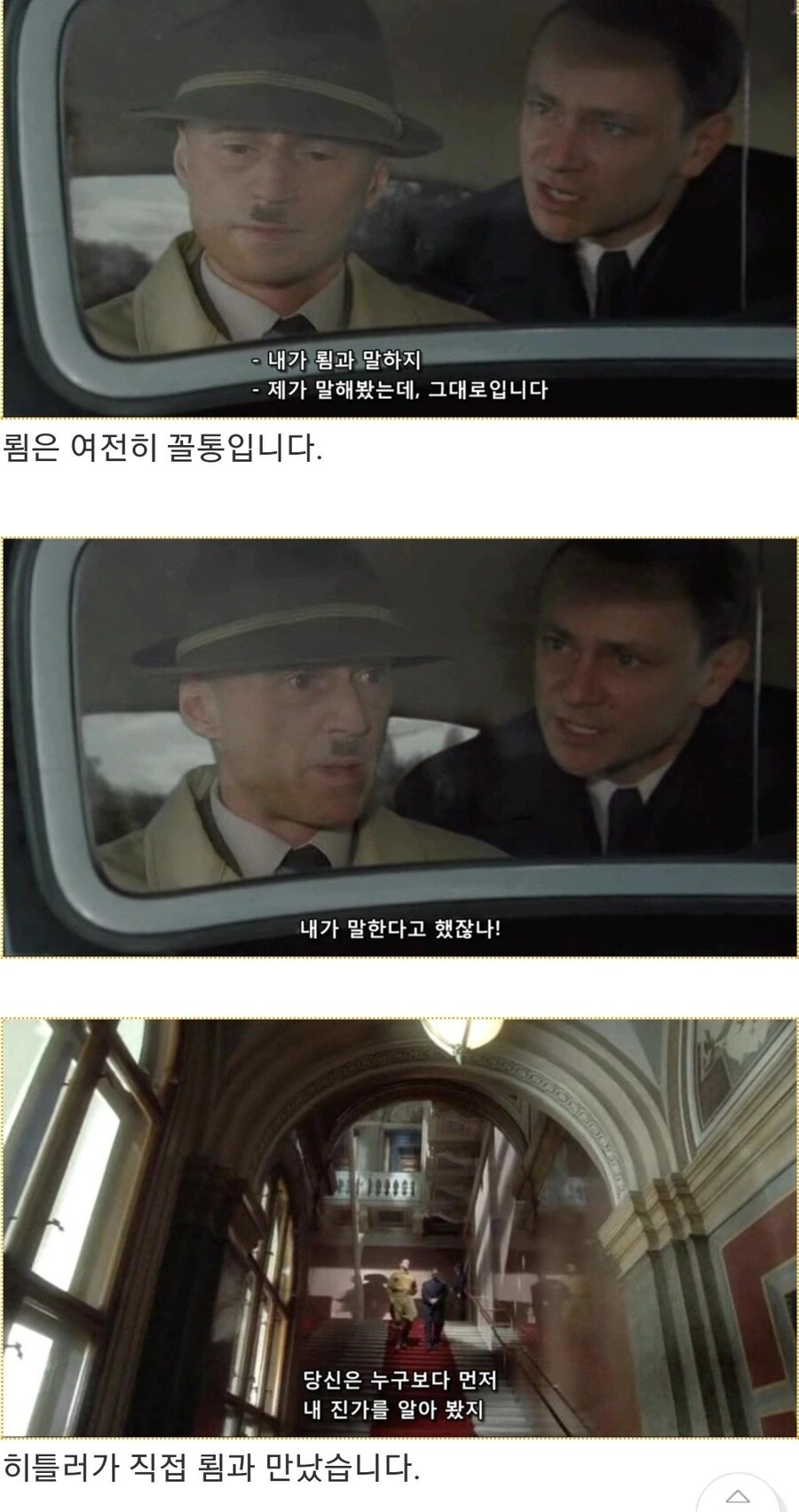 히틀러악의탄생)