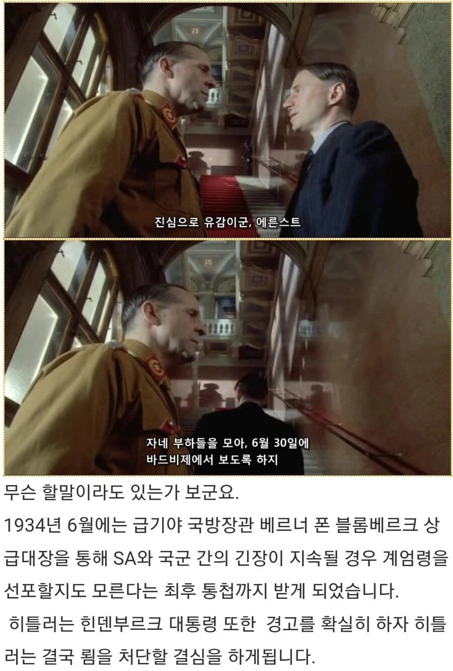 히틀러악의탄생)