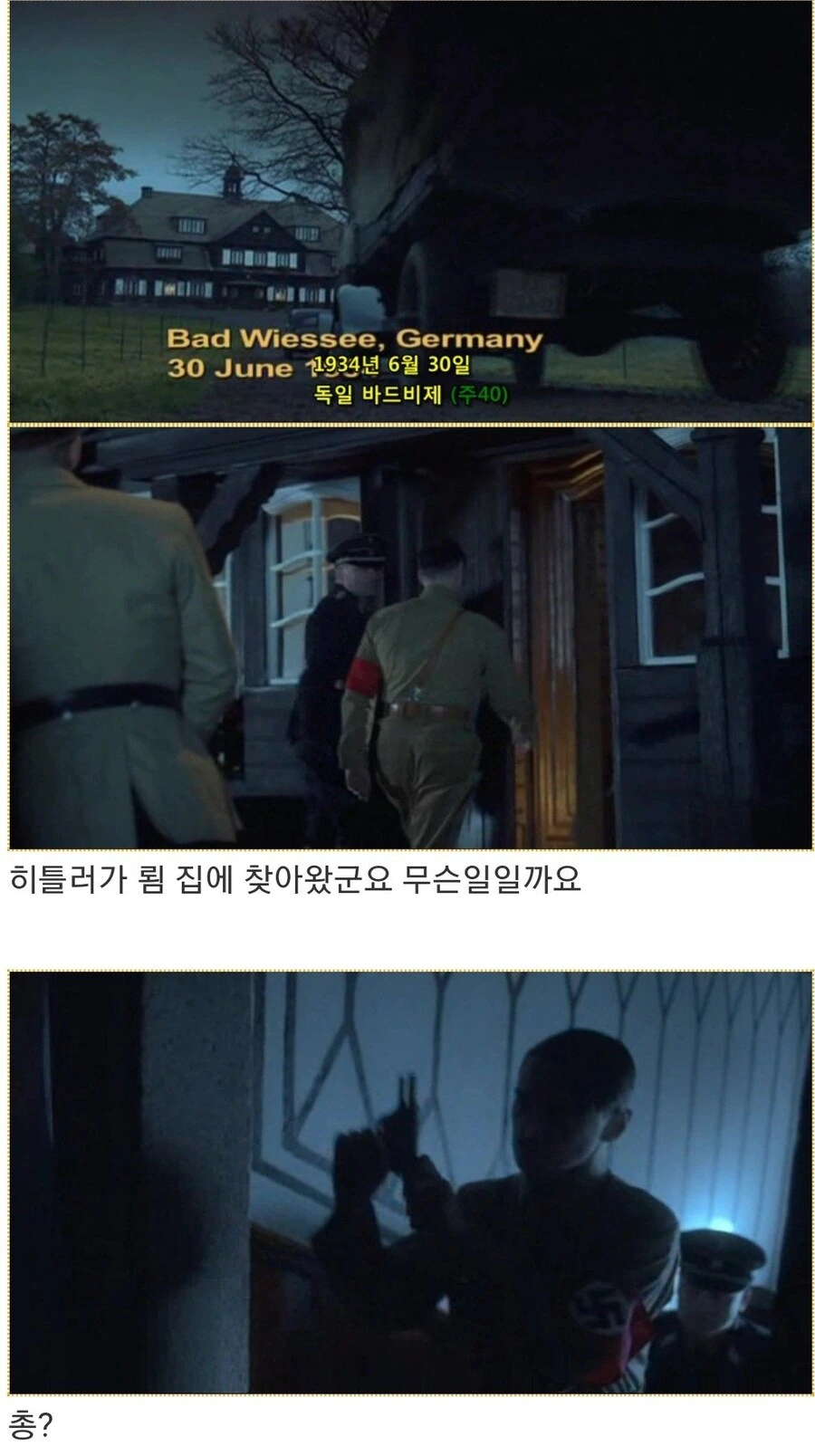 히틀러악의탄생)