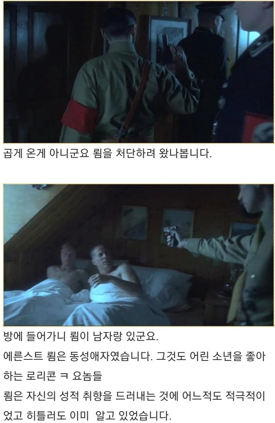 히틀러악의탄생)