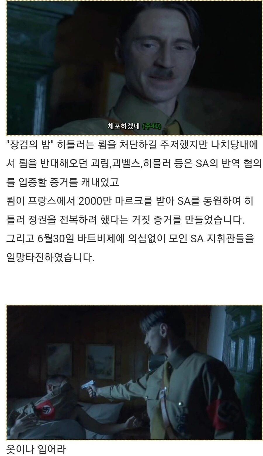 히틀러악의탄생)