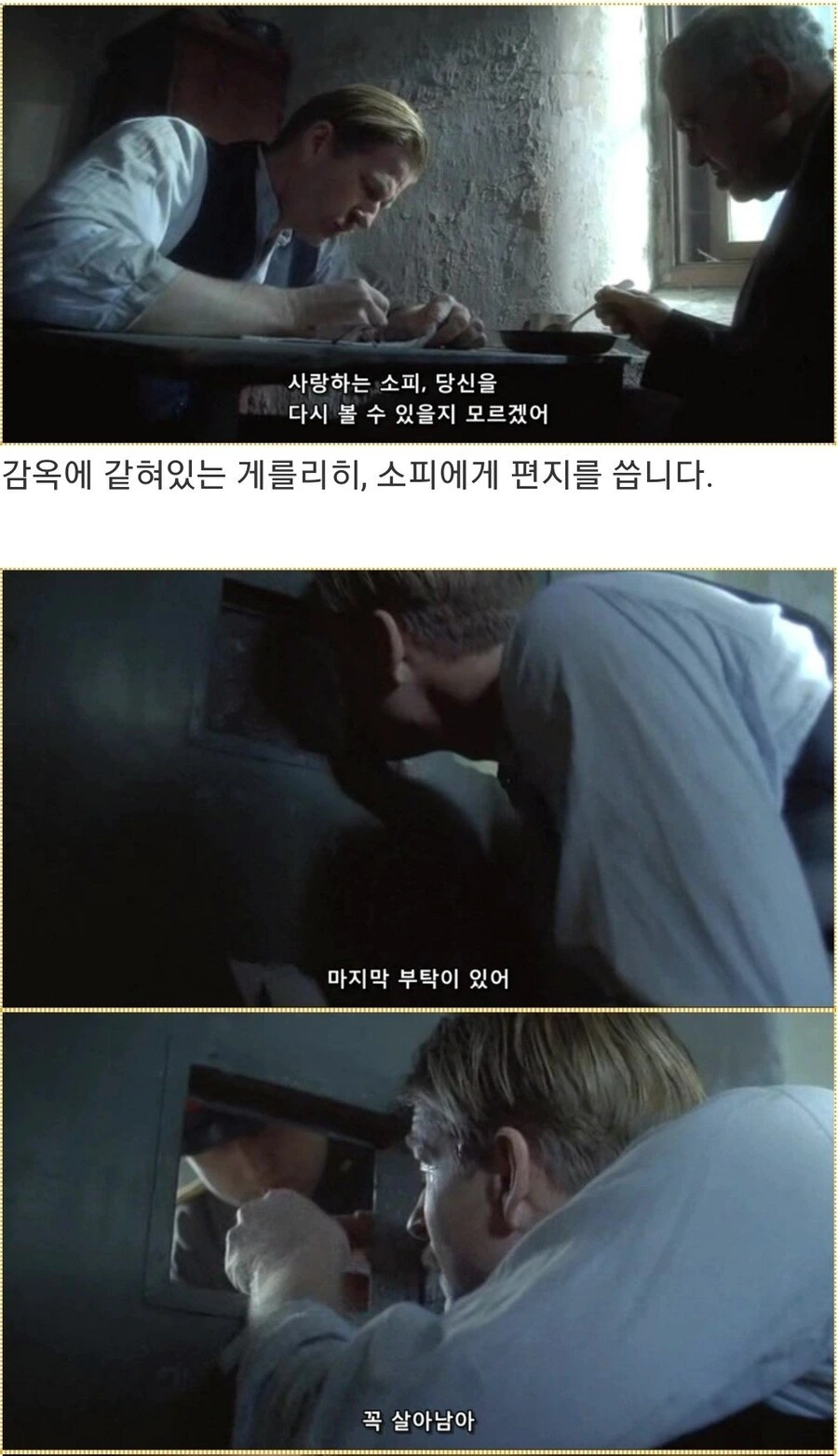 히틀러악의탄생)