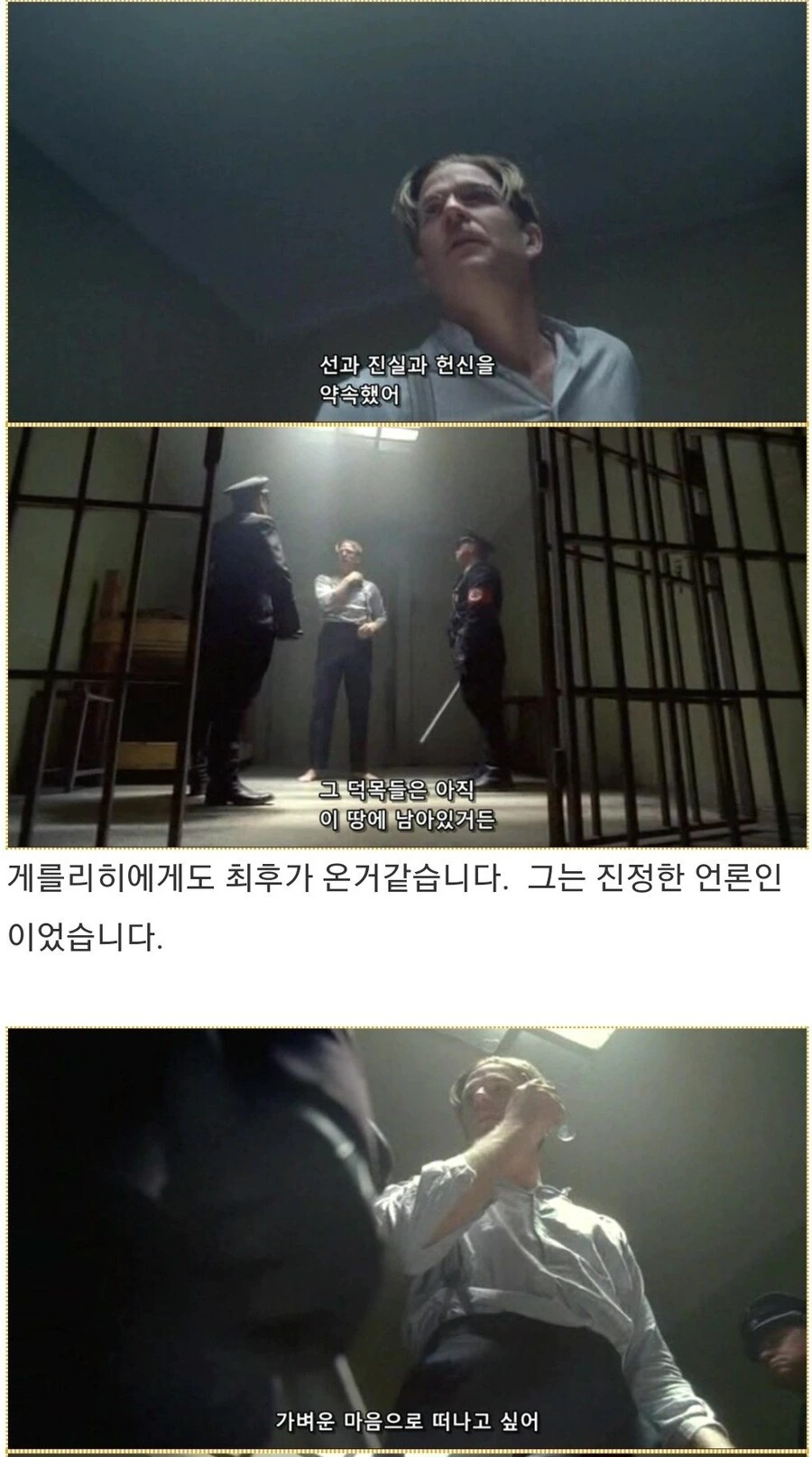 히틀러악의탄생)