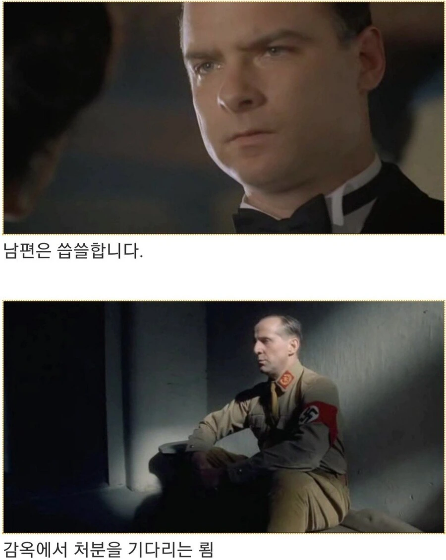 히틀러악의탄생)