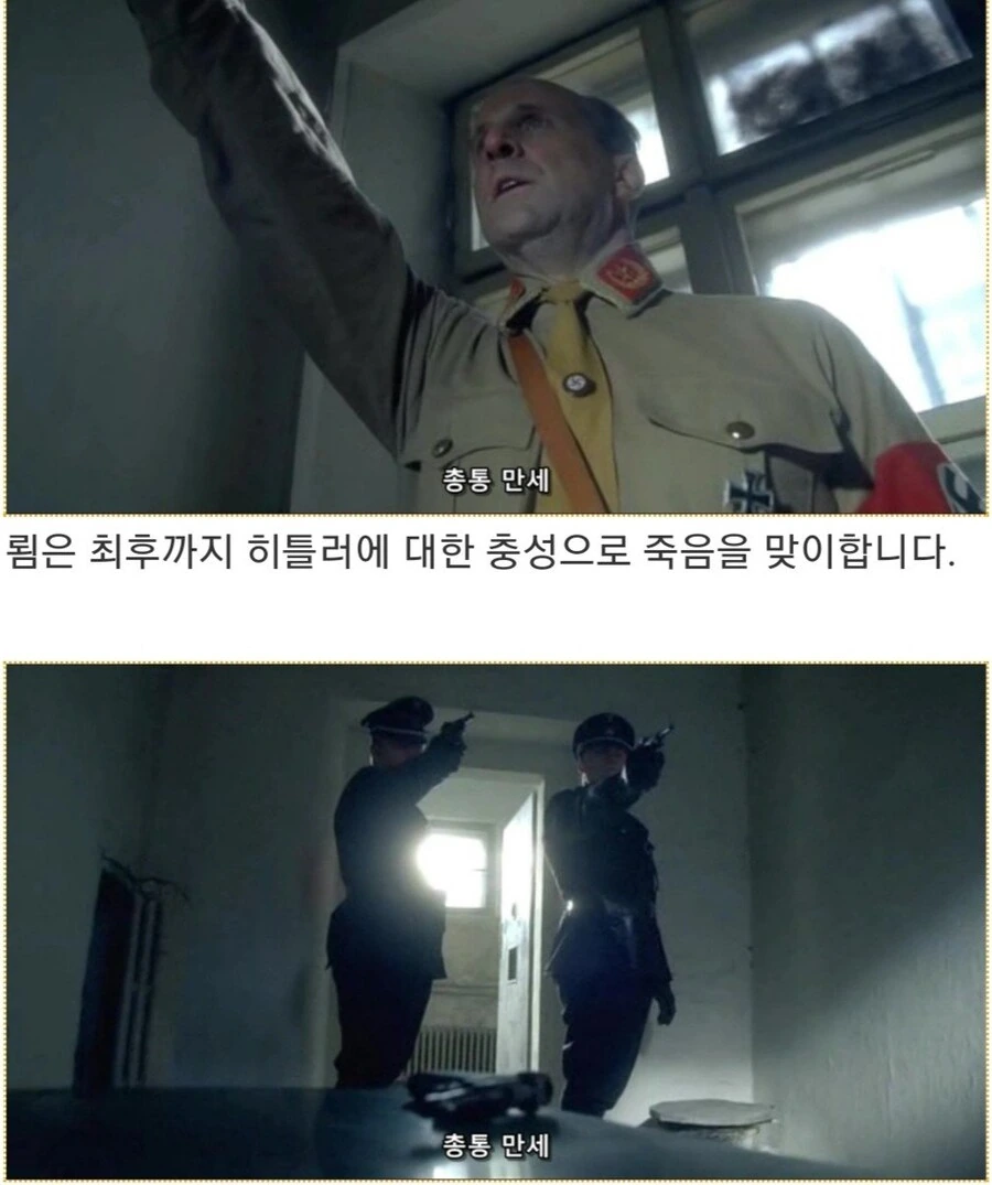 히틀러악의탄생)