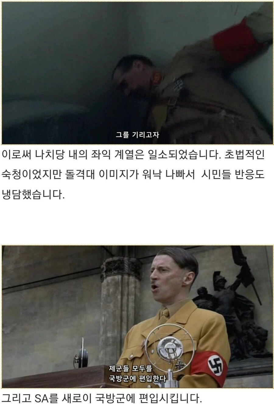 히틀러악의탄생)