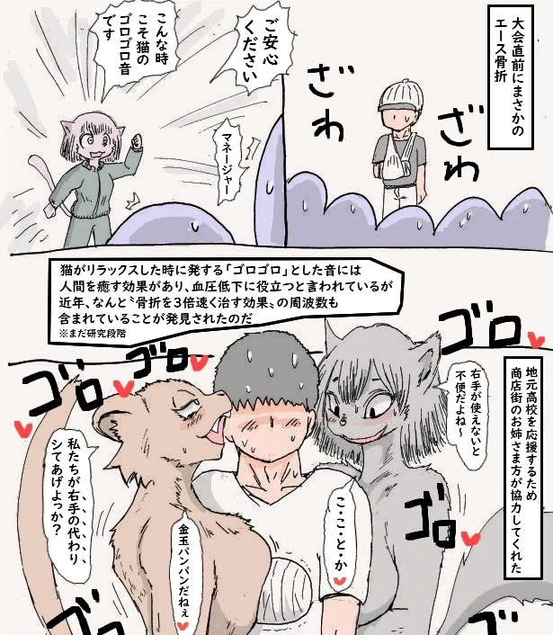 좋은 만화들을 줏었는데_4.webp