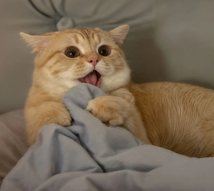 ???: 틈새시장을 노리고 만화를 그려봐야지!_2.webp