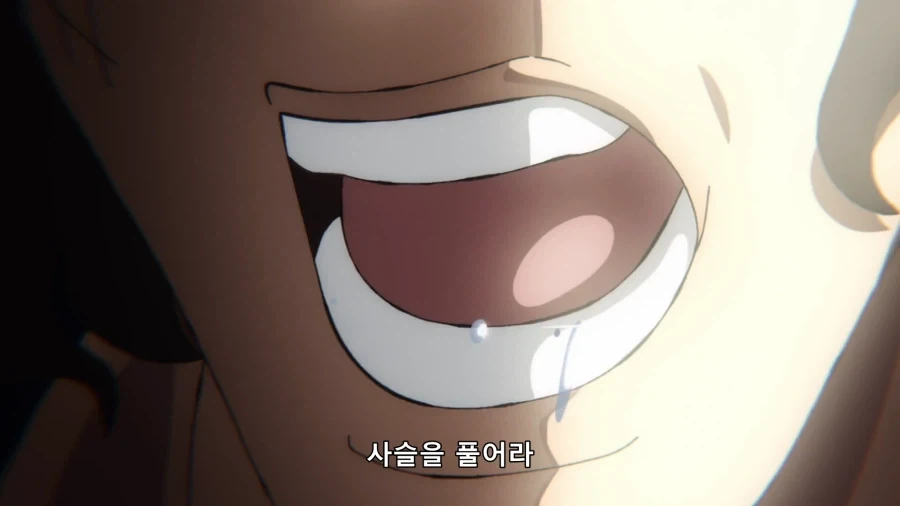 원피스) 차마 나쁘다고만 보기 힘들어진 장면_3.webp