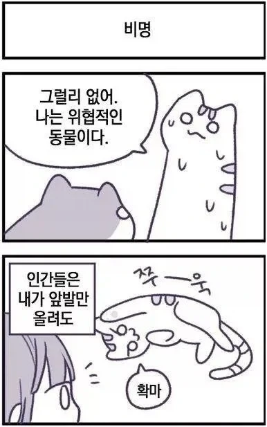 사악한 고양이의 인간몰살.manhwa_3.webp