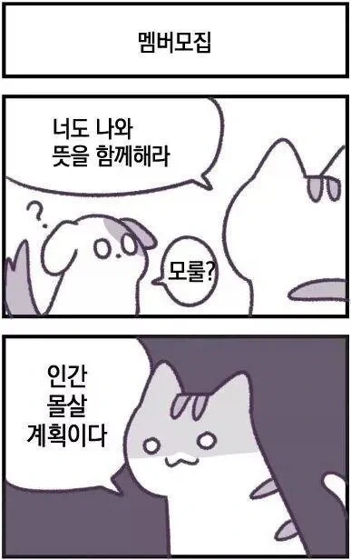 사악한 고양이의 인간몰살.manhwa_7.webp
