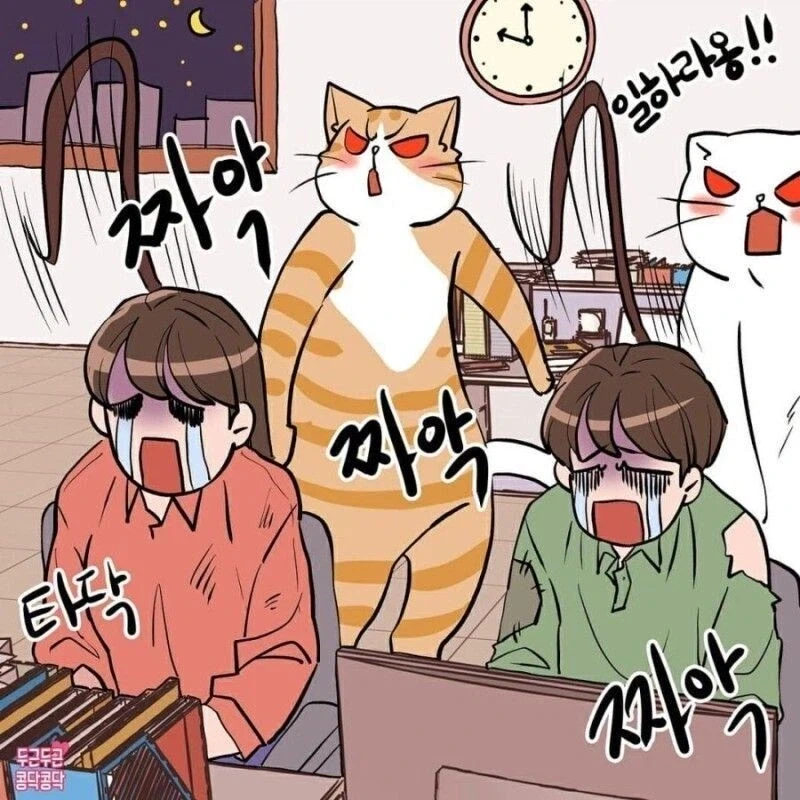 사내복지고양이.manga_7.webp